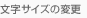 TCY̕ύX