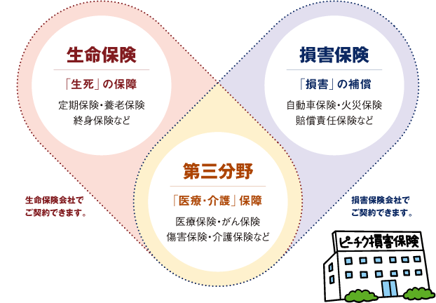 日本損害保険協会 Sonpo そんぽのホント